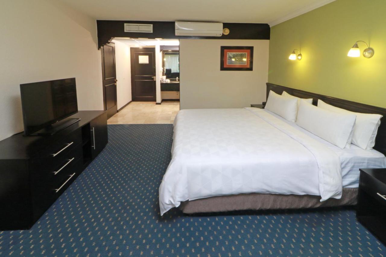 Holiday Inn San Luis Potosi-Quijote By Ihg Kültér fotó